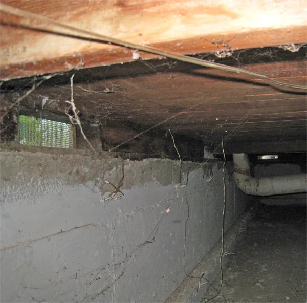 Crawlspace Water Removal in a Riverside home