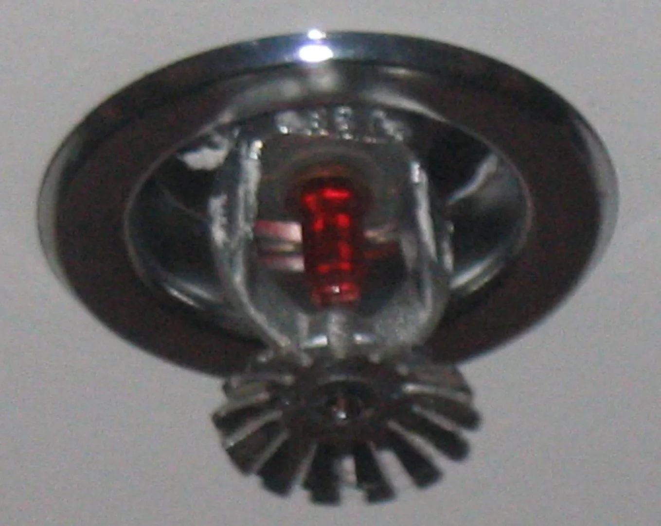 Fire Sprinkler Discharge in a Riverside home