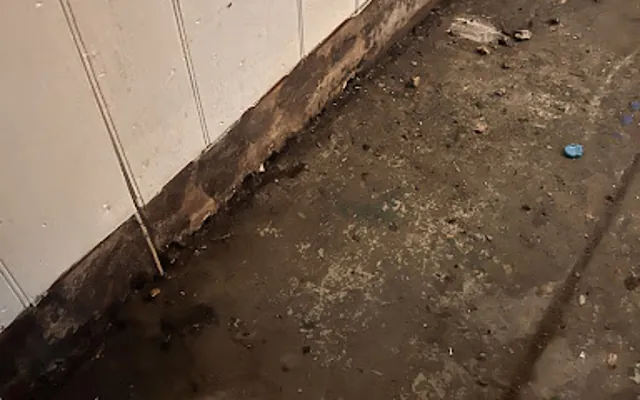 Sewage and Black Water Cleanup in Riverside, CA